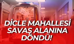 Şanlıurfa’nın Siverek İlçesinde Komşu Kavgası Kanlı Bitti: Yaralılar Var