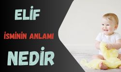 Elif İsminin Anlamı Nedir