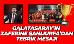 AK Parti Şanlıurfa Milletvekili İbrahim Eyyüpoğlu’ndan Galatasaray’a Tebrik Mesajı