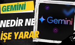 Gemini Nedir Ne İşe Yarar