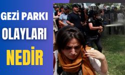 Gezi Parkı Olayları Nedir