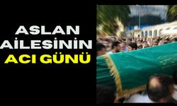 Şanlıurfa’da Aslan Ailesinin Acı Günü