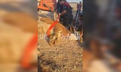 Şanlıurfa’da Zamana Karşı Yarış: İtfaiye Ekipleri Bakın Nasıl Kurtardı?