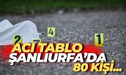 Korkutan Tablo Açıklandı: Şanlıurfa’da 80 Kayıp