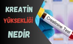 Kreatin Yüksekliği Nedir