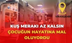 Şanlıurfa’da Korkunç Olay: Kuş Merakı Canından Ediyordu