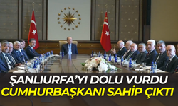 Şanlıurfa’yı Dolu Vurdu, Cumhurbaşkanı Sahip Çıktı: Çiftçiye Destek Artıyor