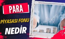 Para Piyasası Fonu Nedir