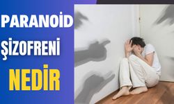 Paranoid Şizofreni Nedir