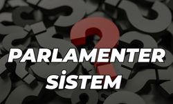 Parlamenter Sistem Nedir