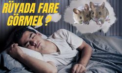 Rüyada Fare Görmek Nedir