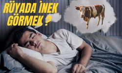 Rüyada İnek Görmek Nedir