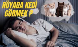 Rüyada Kedi Görmek Nedir