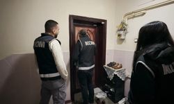 Şanlıurfa Dahil 3 İlde Sahte Ehliyet Operasyonu: Çok Sayıda Gözaltı Var