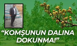 Şanlıurfa Fıstık Üreticileri Birliği Başkanı Faruk Akbaş’tan Fıstık Üreticilerine Uyarı