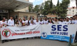 Şanlıurfa’da Hastanedeki Kavga Meclis Gündeminde!