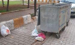 Şanlıurfa’da Çekilen Görüntülere Sosyal Medyada Tepki Yağdı