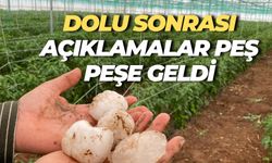 Şanlıurfa’da Dolu Yağdı, Çiftçi Zarar Gördü: Yetkililerden Açıklama Geldi