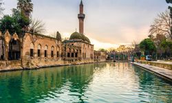 Şanlıurfa’da Obez Kişi Sayısı Kaç?