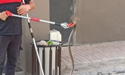Şanlıurfa’da Bodrum Katına Girdi, Mahalle Ayağa Kalktı!