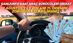 Şanlıurfa'daki Araç Sürücüleri Dikkat! 15 TL Yerine 7.438 TL Ödemek Zorunda Kalabilirsiniz