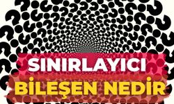 Sınırlayıcı Bileşen Nedir
