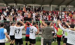 Siverek Belediyespor, Çeyrek Finalde!