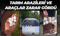 Şanlıurfa’da Dolu Felaketi: Tarım Arazileri ve Araçlar Zarar Gördü