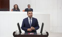 Halfeti, Birecik ve Bozova’daki Fıstık Krizi Meclis Gündeminde