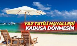 Yaz Tatili Hayalleri Kabusa Dönmesin: Bakanlık'tan Vatandaşlara Uyarı