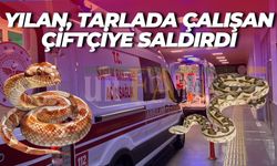 Şanlıurfa’da Tarlada Dehşet: Çiftçiyi Yılan Soktu!