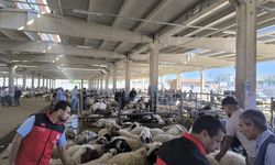 Şanlıurfa Kurban Alırken Bu Detayları Bilmeyen Pişman Olabilir!