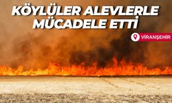 Viranşehir’de Rüzgârla Büyüyen Alevler 170 Dönüm Ekini Yok Etti