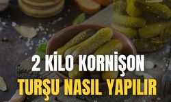 2 Kilo Kornişon Turşu Nasıl Yapılır