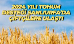 Şanlıurfa’da Çiftçilere 3,8 Milyon TL Tohum Desteği