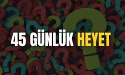 45 Günlük Heyet Raporu Nasıl Alınır