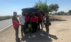 Toprağın Kimyası Değişiyor: Şanlıurfa’da Hümik Asit Uygulaması Başladı