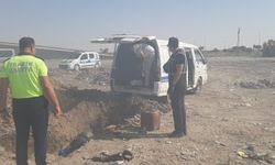 Zehir Tehlikesi Son Anda Önlenmiş! Şanlıurfa'da Ortak Operasyonla Ele Geçirildi