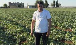 Şanlıurfa’da Binlerce Yıllık Lezzet Tezgaha İniyor!
