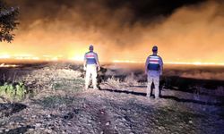 Şanlıurfa’da Anız Yangınlarına Karşı Jandarma Teyakkuzda