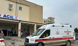 Şanlıurfa’da Feci Kaza: 5'i Çocuk 6 Yaralı