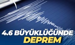 AFAD 4.6 Büyüklüğündeki Depremi Duyurdu