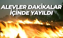 Suruç'ta Yangın Felaketi: Ekinler Göz Göre Göre Yandı