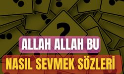 Allah Allah Bu Nasıl Sevmek Sözleri