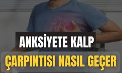 Anksiyete Kalp Çarpıntısı Nasıl Geçer