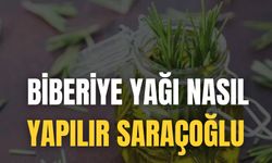 Biberiye Yağı Nasıl Yapılır Saraçoğlu