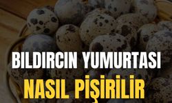 Bıldırcın Yumurtası Nasıl Pişirilir