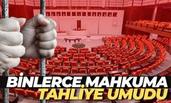 Binlerce Mahkuma Tahliye Umudu: İşte Yargı Paketi Detayları…