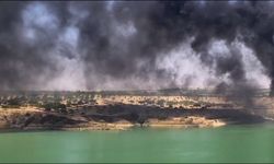 Şanlıurfa'daki Baraj'da Yangın Paniği: Gökyüzünü Kara Dumanlar Kapladı