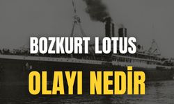 Bozkurt Lotus Olayı Nedir